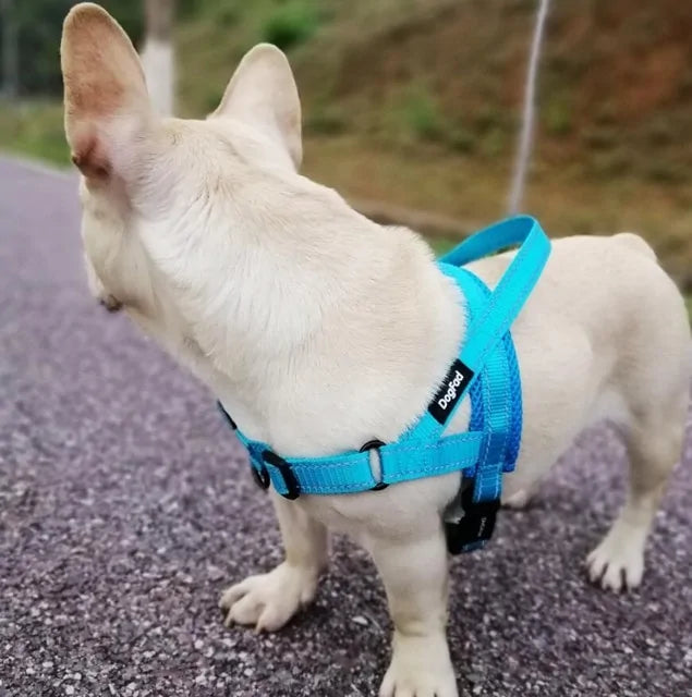Adjustable Dog Harness - PAWS AND MEWS