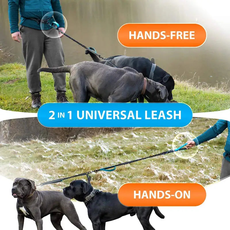 Reflective Comfort Pet Leash