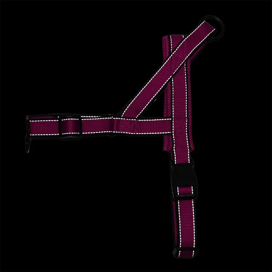 Adjustable Dog Harness - PAWS AND MEWS