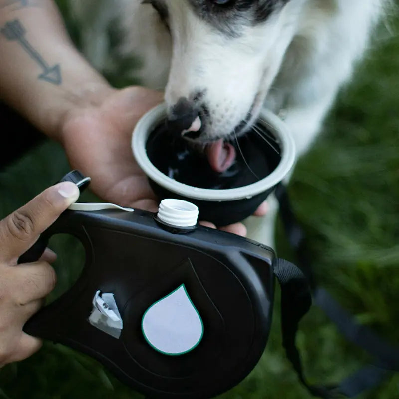 Versatile Pet Leash - PAWS AND MEWS