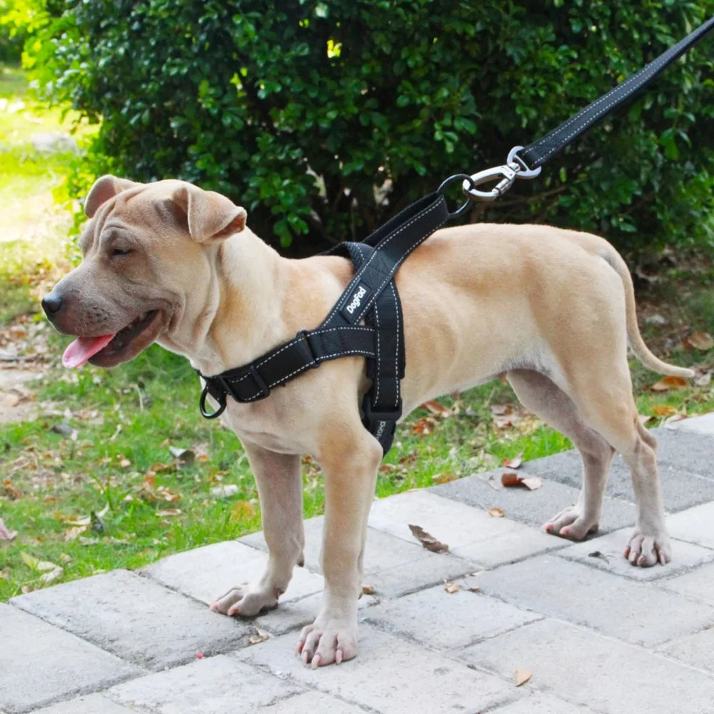 Adjustable Dog Harness - PAWS AND MEWS