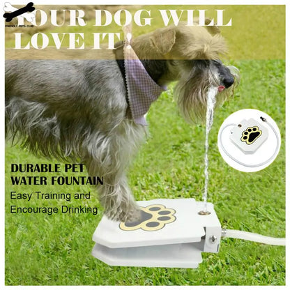 Automatic Pet Drinking Fountain