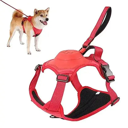 Adjustable Dog Harness & Retractable Leash Set