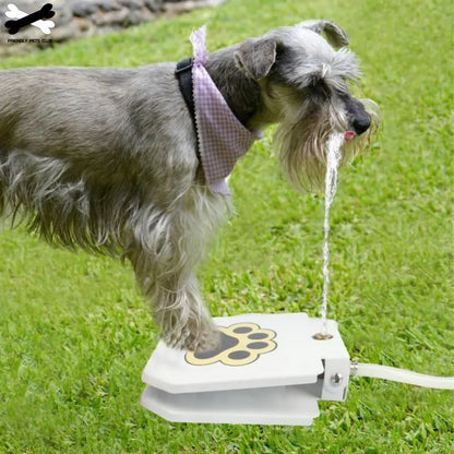 Automatic Pet Drinking Fountain