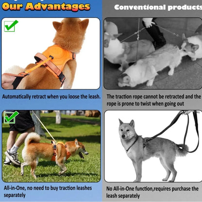 Adjustable Dog Harness & Retractable Leash Set