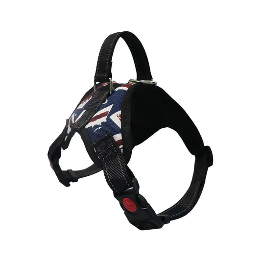 PawAlign Harness