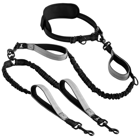 Reflective Comfort Pet Leash