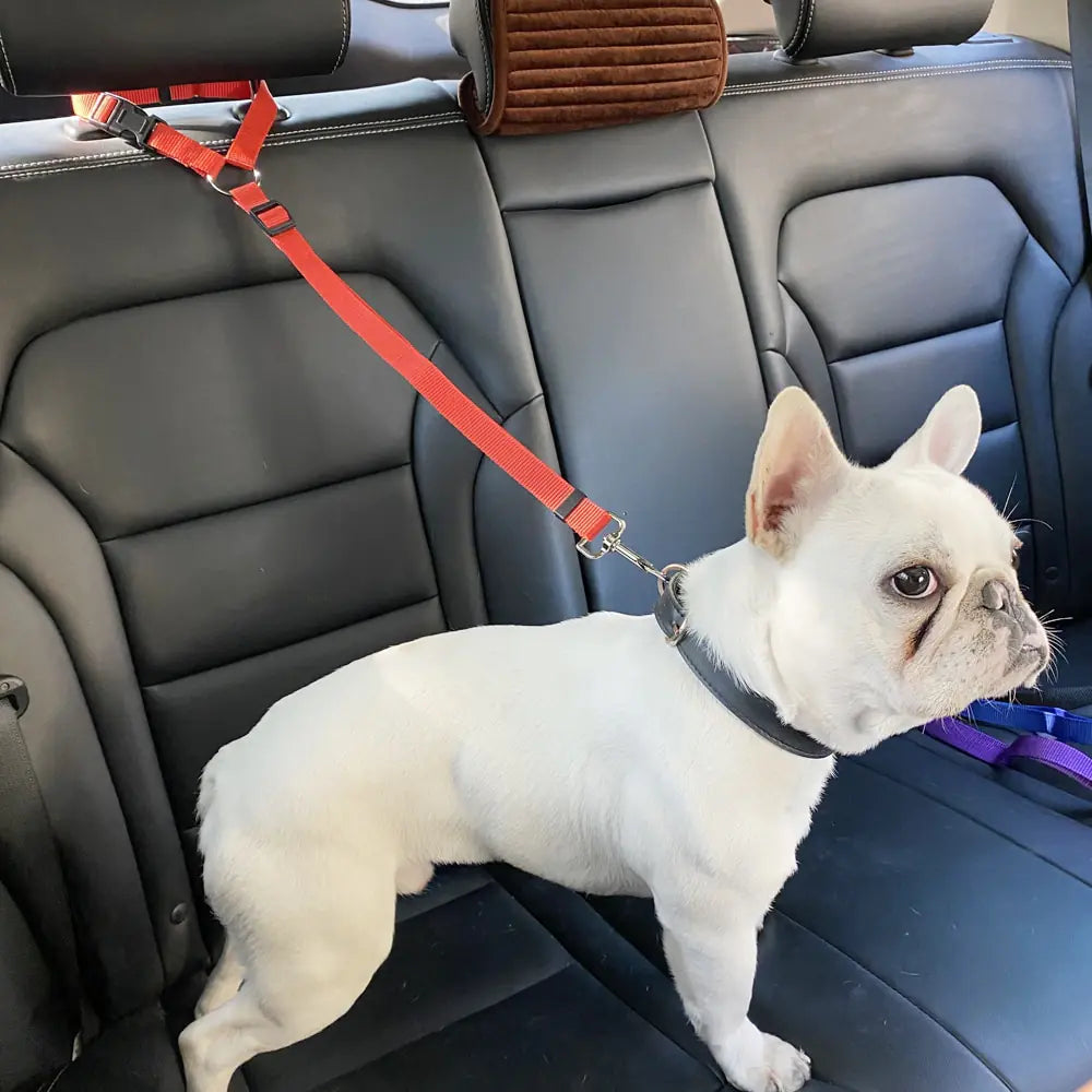 Nylon Pet Seatbelts