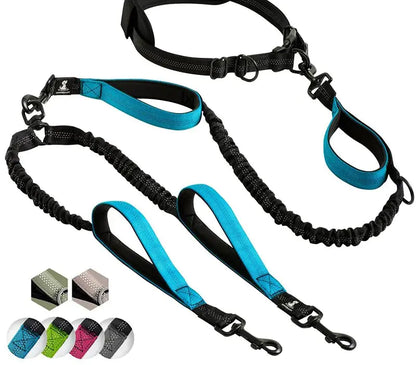 Reflective Comfort Pet Leash