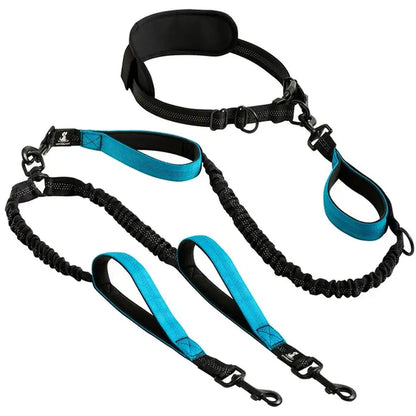 Reflective Comfort Pet Leash