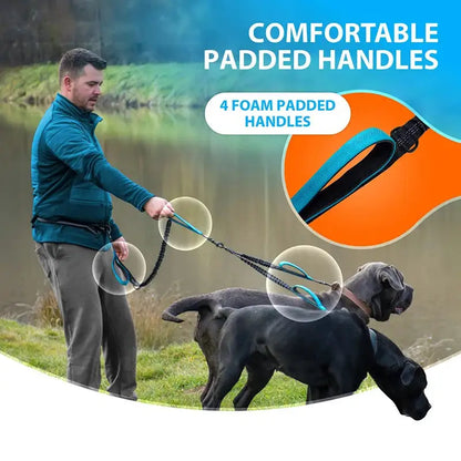 Reflective Comfort Pet Leash