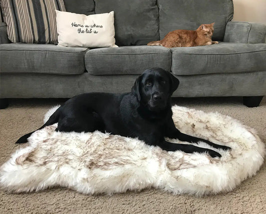 FurHaven Dog Bed