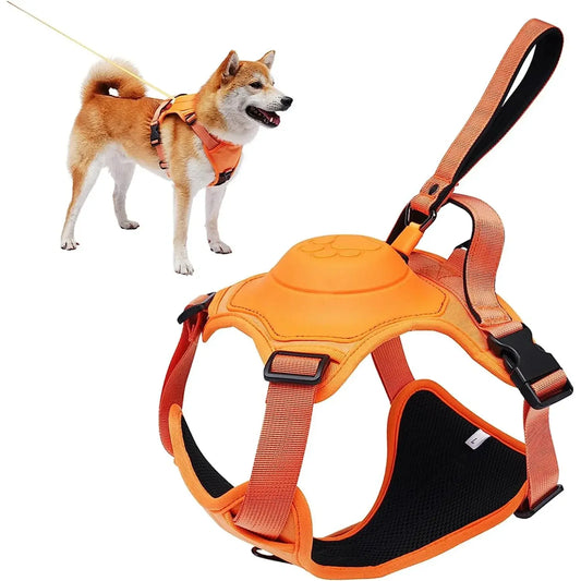 Adjustable Dog Harness & Retractable Leash Set