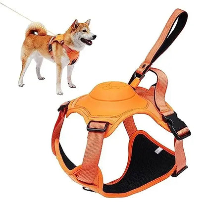 Adjustable Dog Harness & Retractable Leash Set