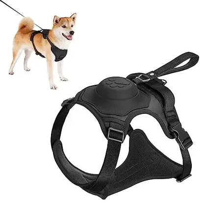 Adjustable Dog Harness & Retractable Leash Set